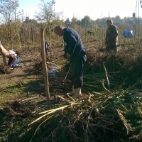 14471000414263_20151104_pripremaJesenjihSadnica (2).jpg